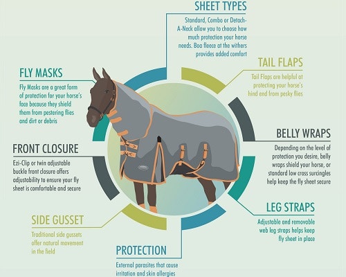 Infographic of different fly protection equipment