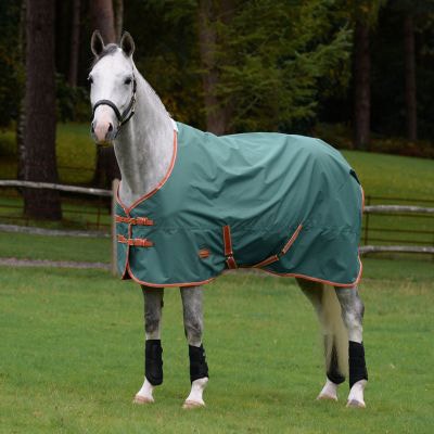 Horse wearing WeatherBeeta horse turnout blanket