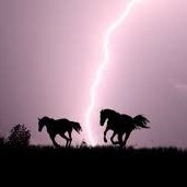 Silhouette of horses running in a lightning storm