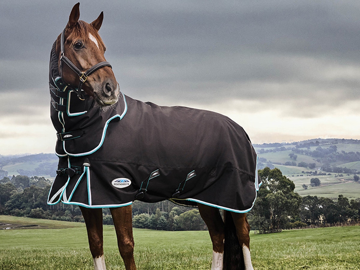 Horse wearing WeatherBeeta new Ultra Comfi rug standing in a field