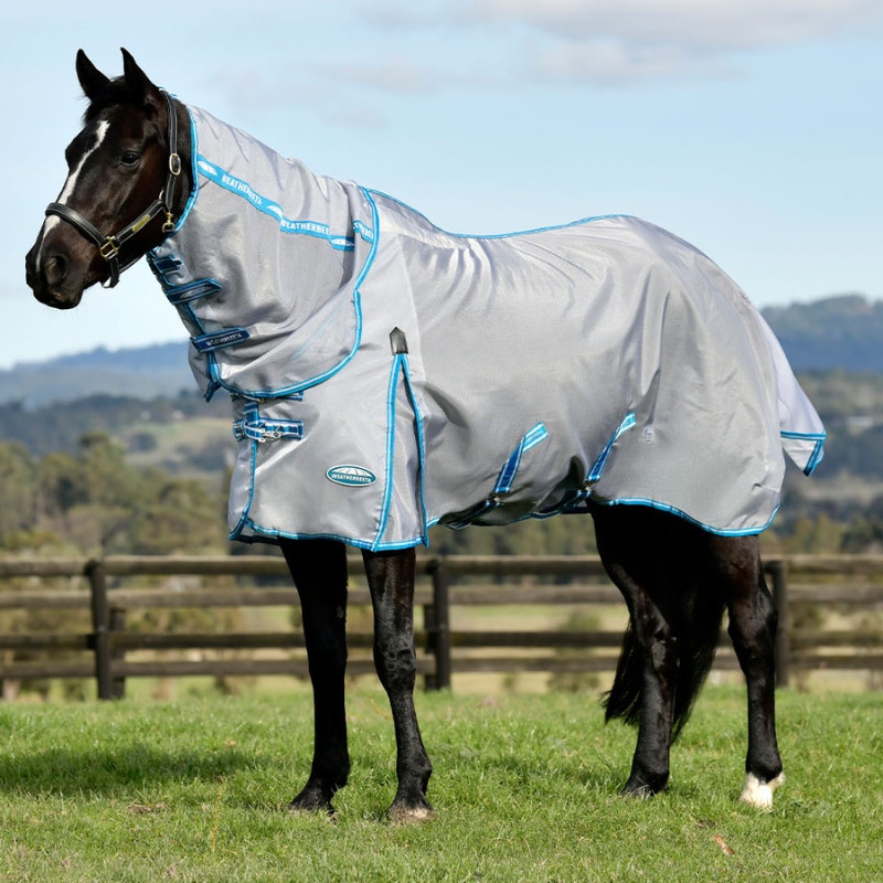 dark bay horse wearing weatherbeeta hexi shield fly sheet