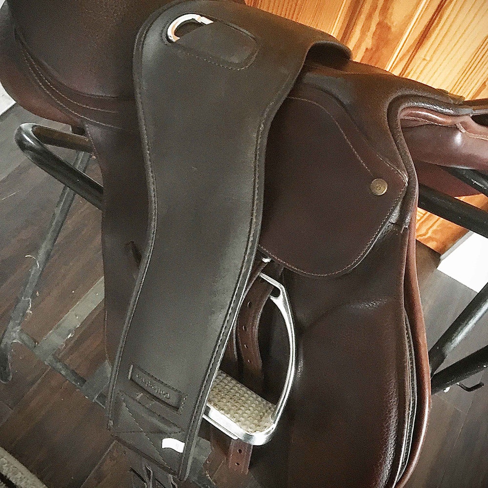 Close up shot of Collegiate anatomic girth