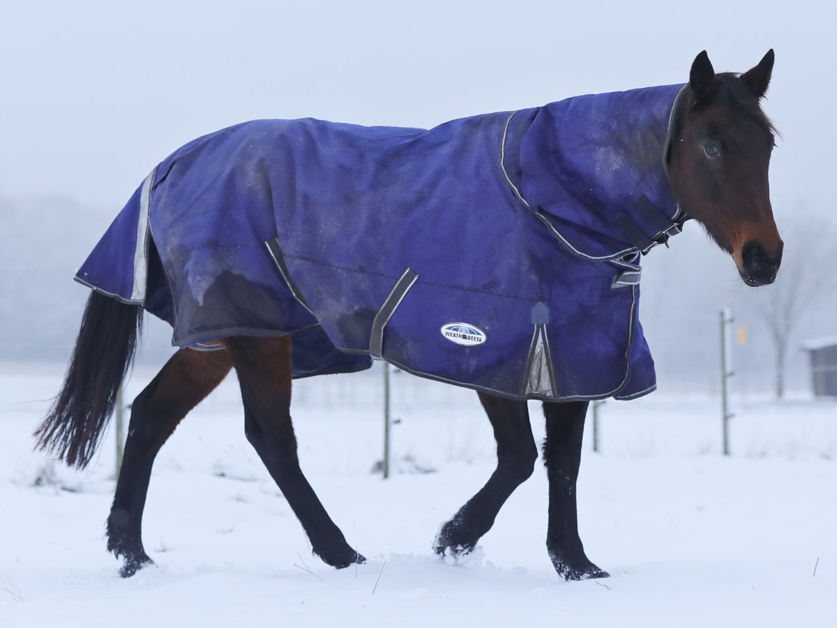 Horse walking in snow wearing WeatherBeeta ComFiTec Premier Free II Detach-A-Neck blanket