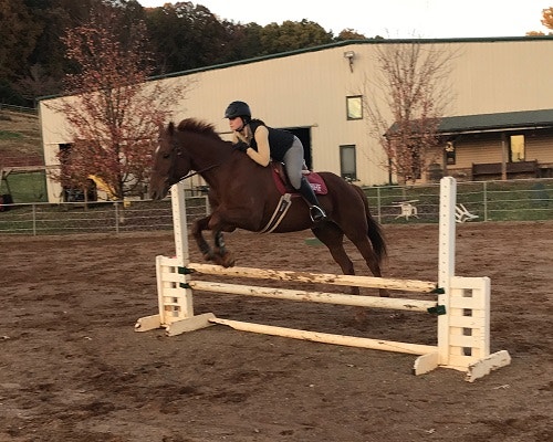 Saddle Review: University of Tennessee