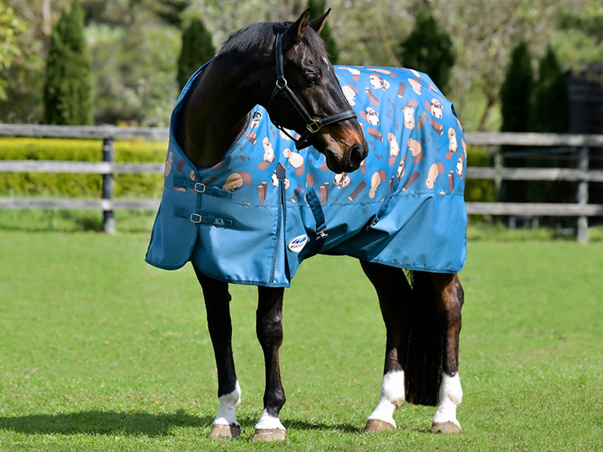 Horse wearing WeatherBeeta ComFiTec Classic horse rug standing in a field