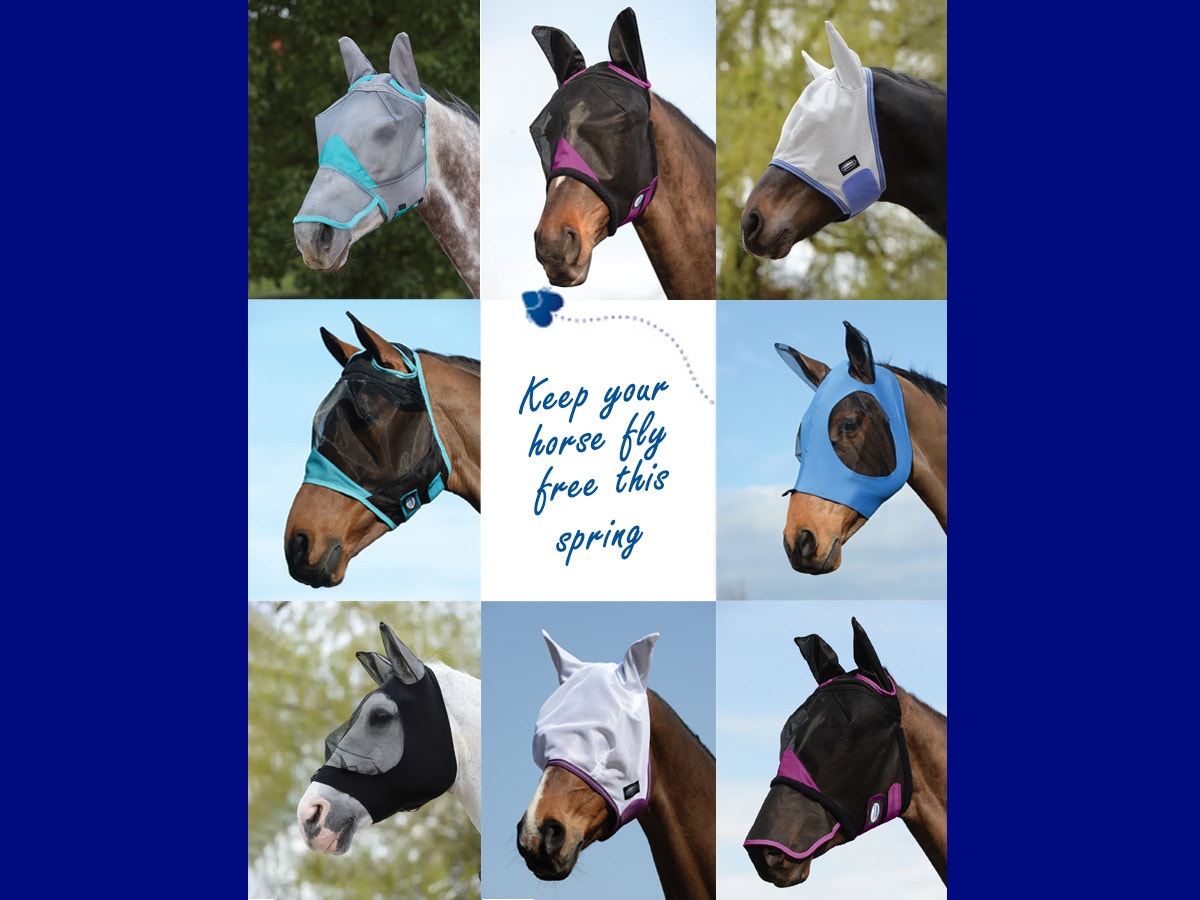 Collage of horses wearing fly masks