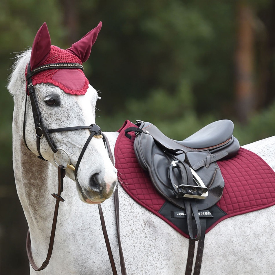 Horse wearing matching saddle pad and ear bonnet