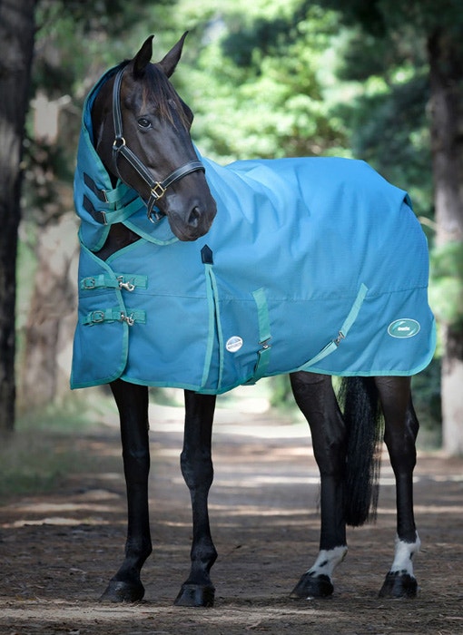 Horse wearing green-tec rug