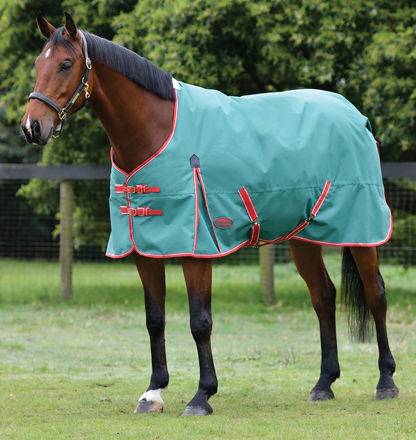 Horse wearing green WeatherBeeta turnout blanket