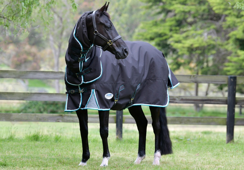 Horse wearing WeatherBeeta turnout rug