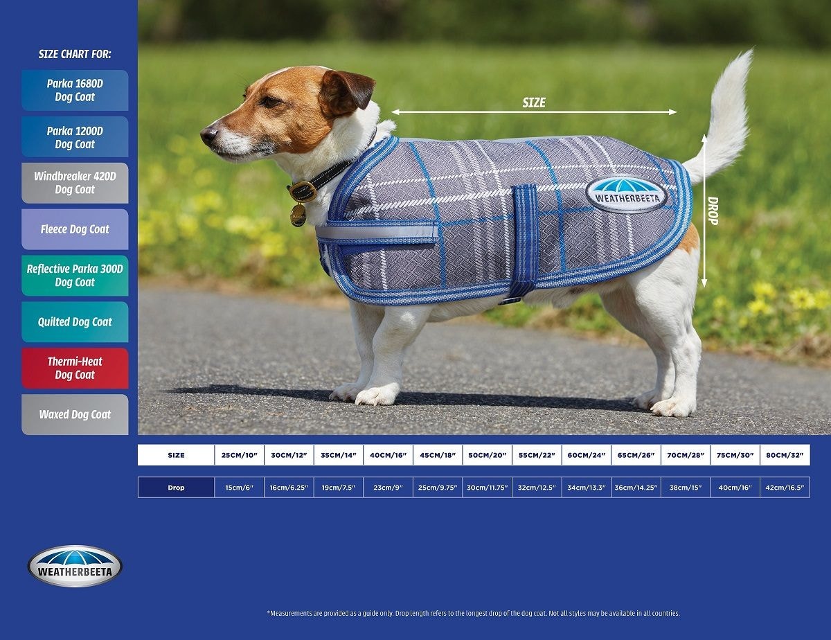 Pet Size Charts Find the Perfect Fit for Your Beloved Companion
